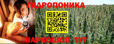 кокс Нальчик