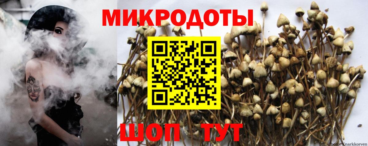 Псилоцибиновые грибы мухоморы  Псилоцибиновые грибы Magic Shrooms  Сорочинск  Вход с VPN 