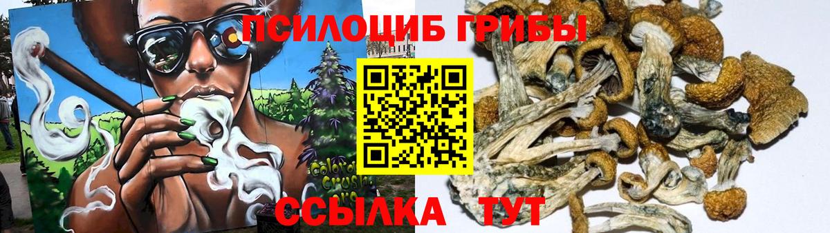 Галлюциногенные грибы мухоморы Сорочинск